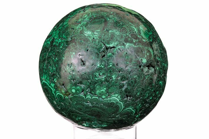 Enormous, Flowery, Polished Malachite Sphere ( lbs) - Congo #192007